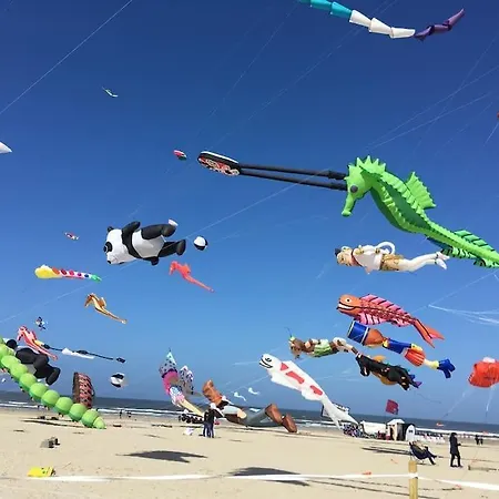Marie - 6 Pers Avec Balcon Vue Laterale A